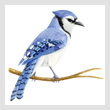 AlmanacBluejayT.jpg