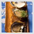NEBO-oystersT.jpg