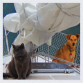THBYD-cady-123.thumbnail.jpg