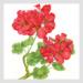 almanac-flowersT.jpg