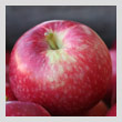 apple-paulaT.jpg