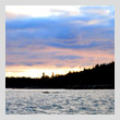 burnt-islandT.jpg