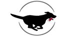 downeast-dognews.jpg