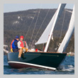 m29-8555T.jpg