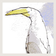 magerl-seagull-thumb.jpg