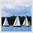 regattaT.jpg