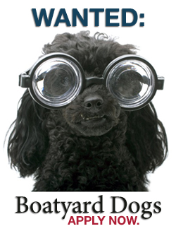 Boatyard Dog Trials