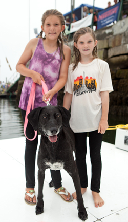 Boatyard Dog Trials