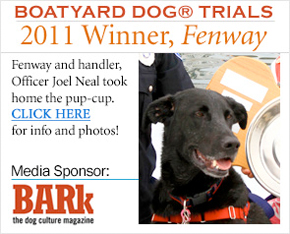 Boatyard Dog Trials