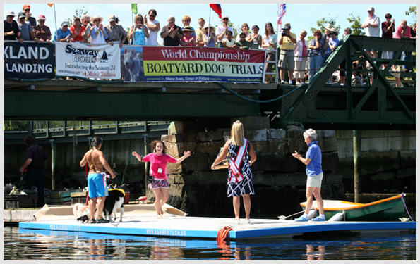 Boatyard Dog Final 2009
