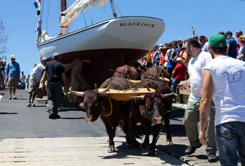 New life for an historic Friendship sloop