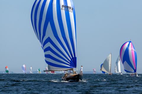 Camden Classics Cup draws record number of boats