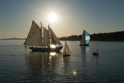 Tall Ships set sail in the Penobscot River July 9-18