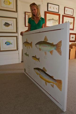 Karen Talbot calendar illustrations feature Maine's native sea-run fish