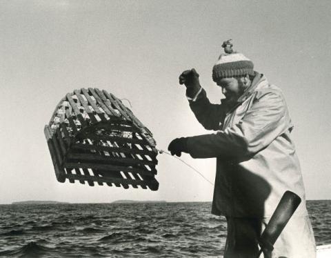 Historical fishing photos available online