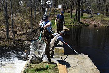 Grant will fund salmon restoration in Togus Stream