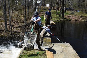  Grant will fund salmon restoration in Togus Stream