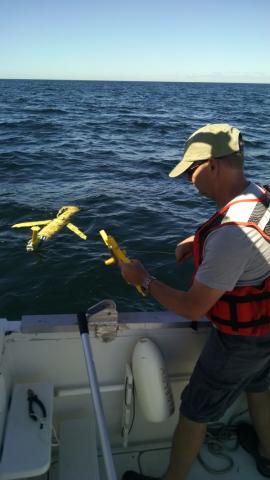 Study: the Gulf of Maine is changing color, becoming less productive