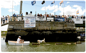 Boatyard Dog