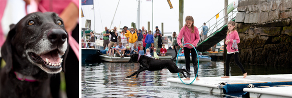 2012 BYD Winner: Otter