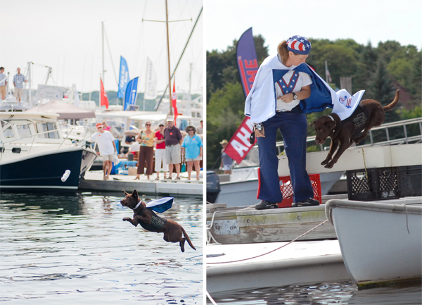 Boatyard Dog Trials