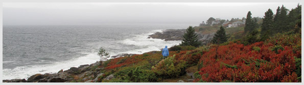 Prouts Neck Cliff Walk