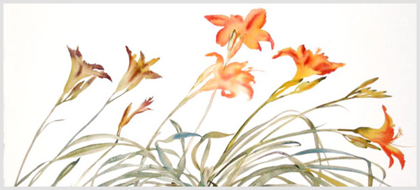 Daylillies, watercolor, 2008, by Susan Headley Van Campen