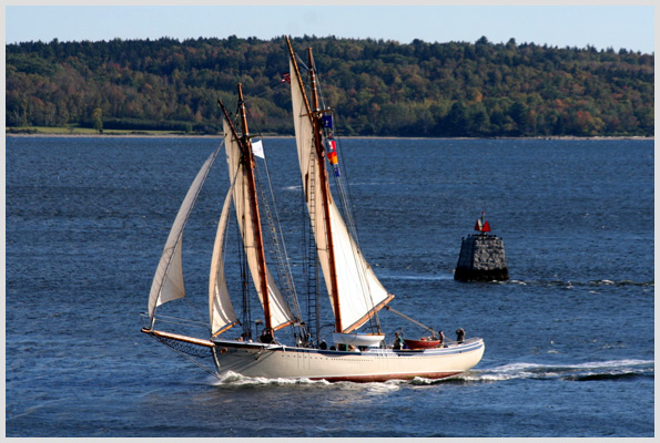 Schooner off Fort Point State Park