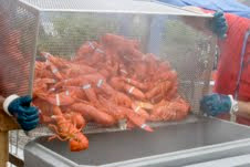 Maine Lobsterfest, Rockland