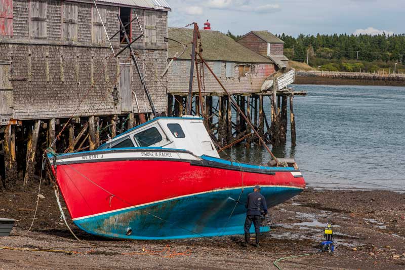 Photographs by Ed Kenney