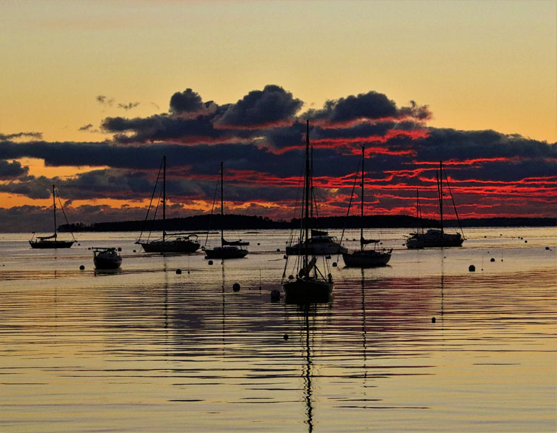 Photograph by Dan Dishner