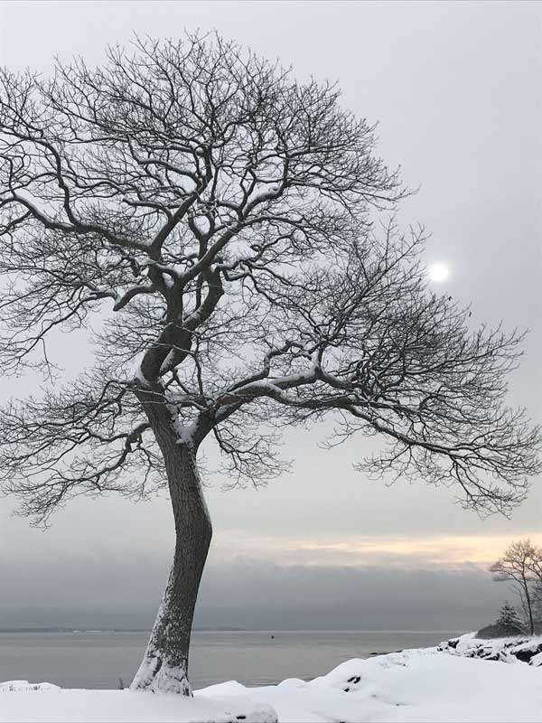 Photographs by Robin Lloyd